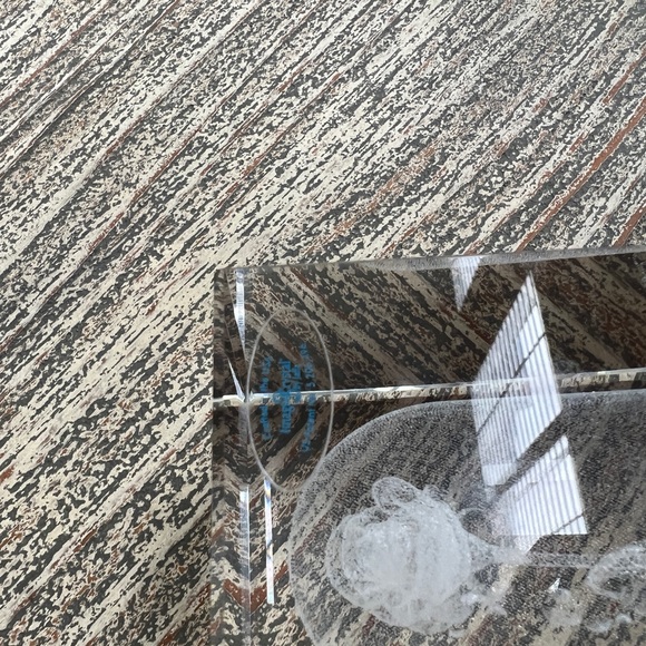 Crystal Rose in case Disney beauty and the beast image - Picture 4 of 10